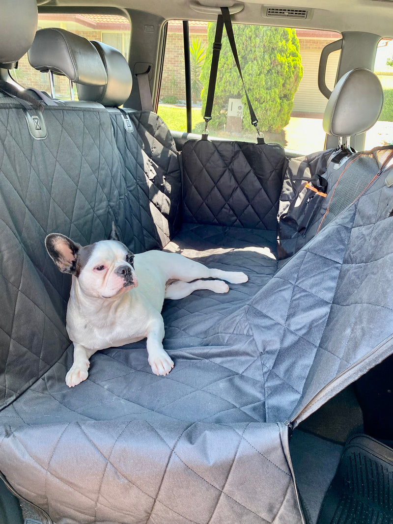 Premium Hammock Pet Car Seat Cover + FREE Pet Seat Belt