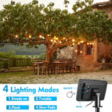 Break-Resistant LED Solar Festoon Lights