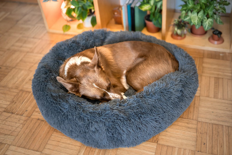 Self-Warming Calming Dog Bed