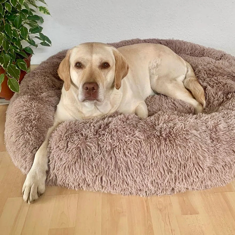 Self-Warming Calming Dog Bed